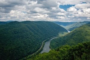 Forest Bathing in the New River Gorge