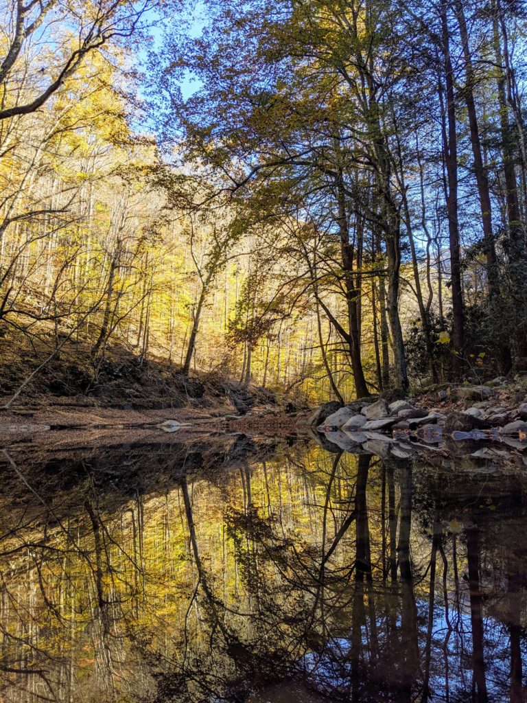 Autumn reflected in the water along Glade Creek Trail. 