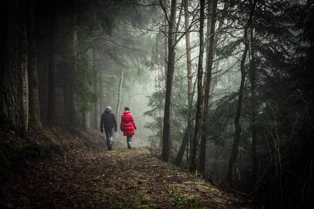 A couple hiking one of the many rail trails in the New River Gorge National Parking in January.