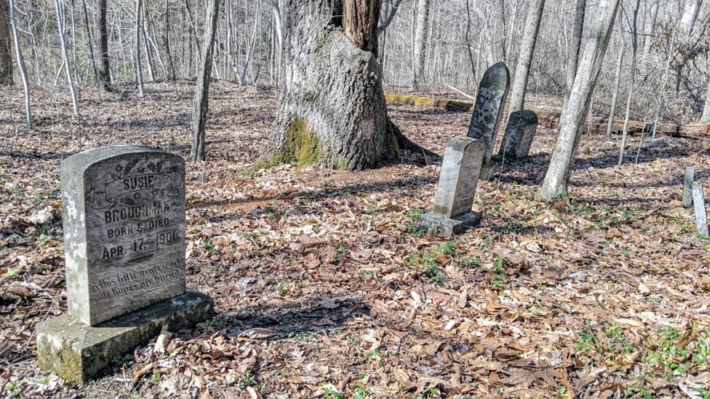 Gravestones on Red Ash Island along the Southside Trail in the New River Gorge. 