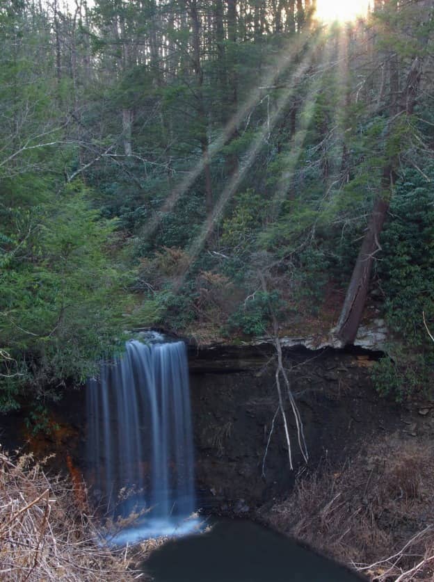 Sunlight shining through the New River Gorge forest onto Coal Branch Falls.