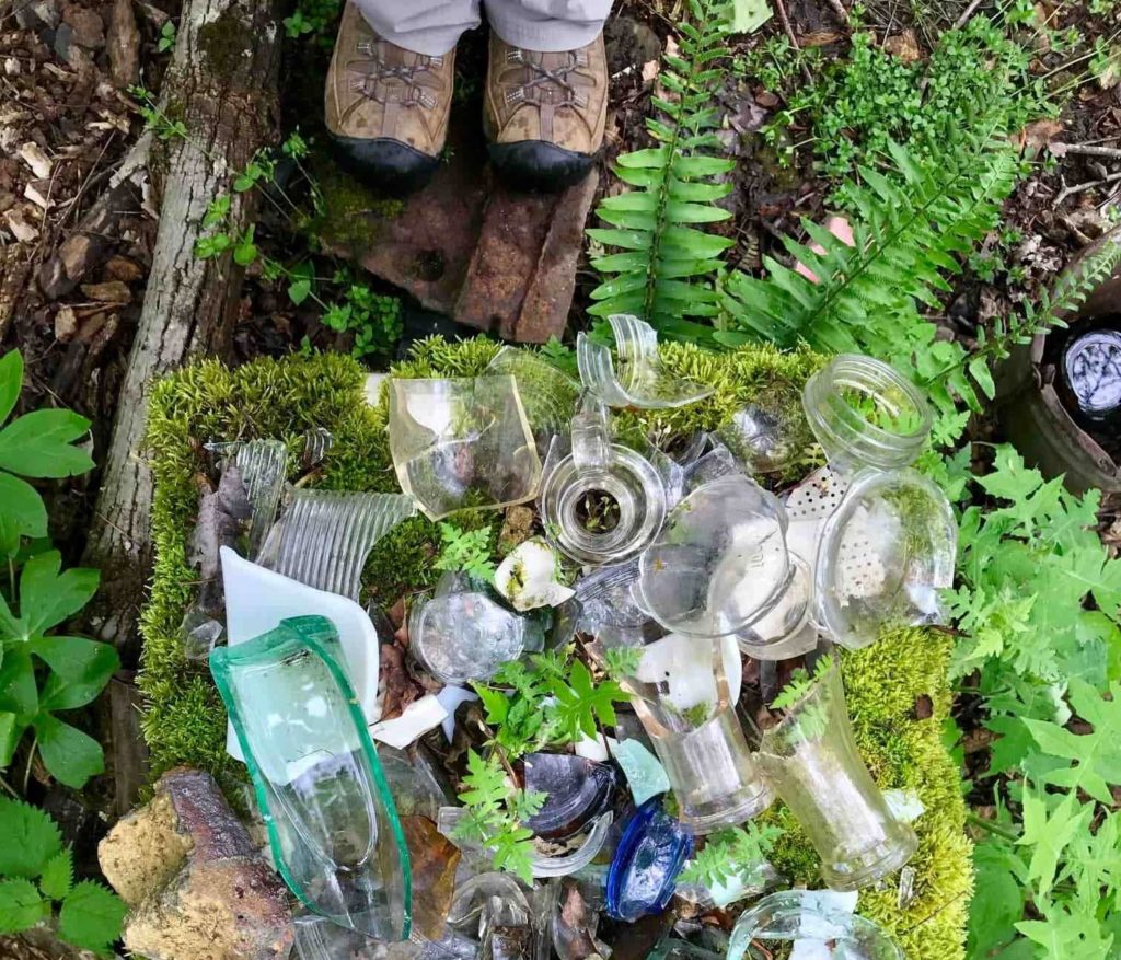 Broken glass, bottles and pottery scattered on the forest floor where the community of Nuttallburg once thrived. 