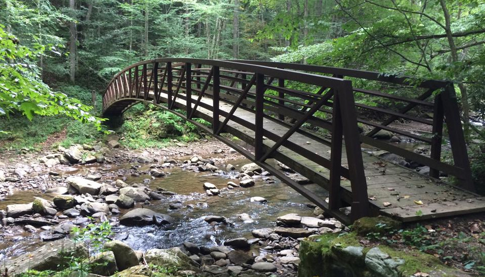A footbridge crossing Glade Creek along the Glade Creek Rail Trail. 