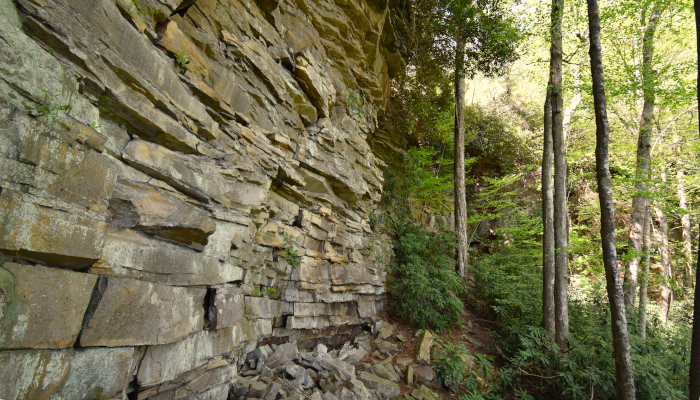 A sandstone cliff along the Castle Rock Trail in Grandview that looks like a manmade stone wall. 