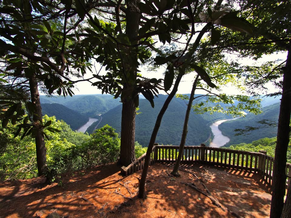 Trees in and around the North Overlook at Grandview with a small wooden fence framing the large scale view of Backus Mountain and the New River beyond.