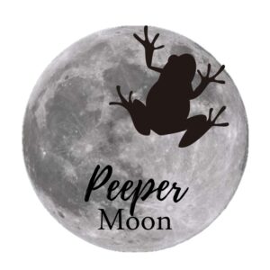 A Spring Peeper (frog) over the March full moon. 