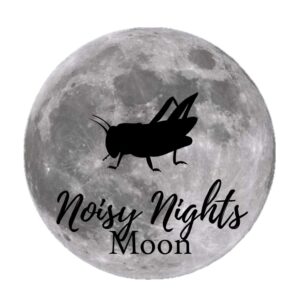 A cricket (noisy nights) over the September full moon. 