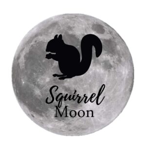 As squirrel over the December full moon. 