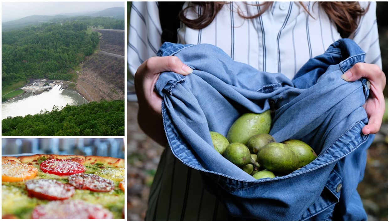 Foraged paw paw fruit in a blue bag, heirloom tomatoes on a pizza, and the Gauley river surrounded by green forests.
