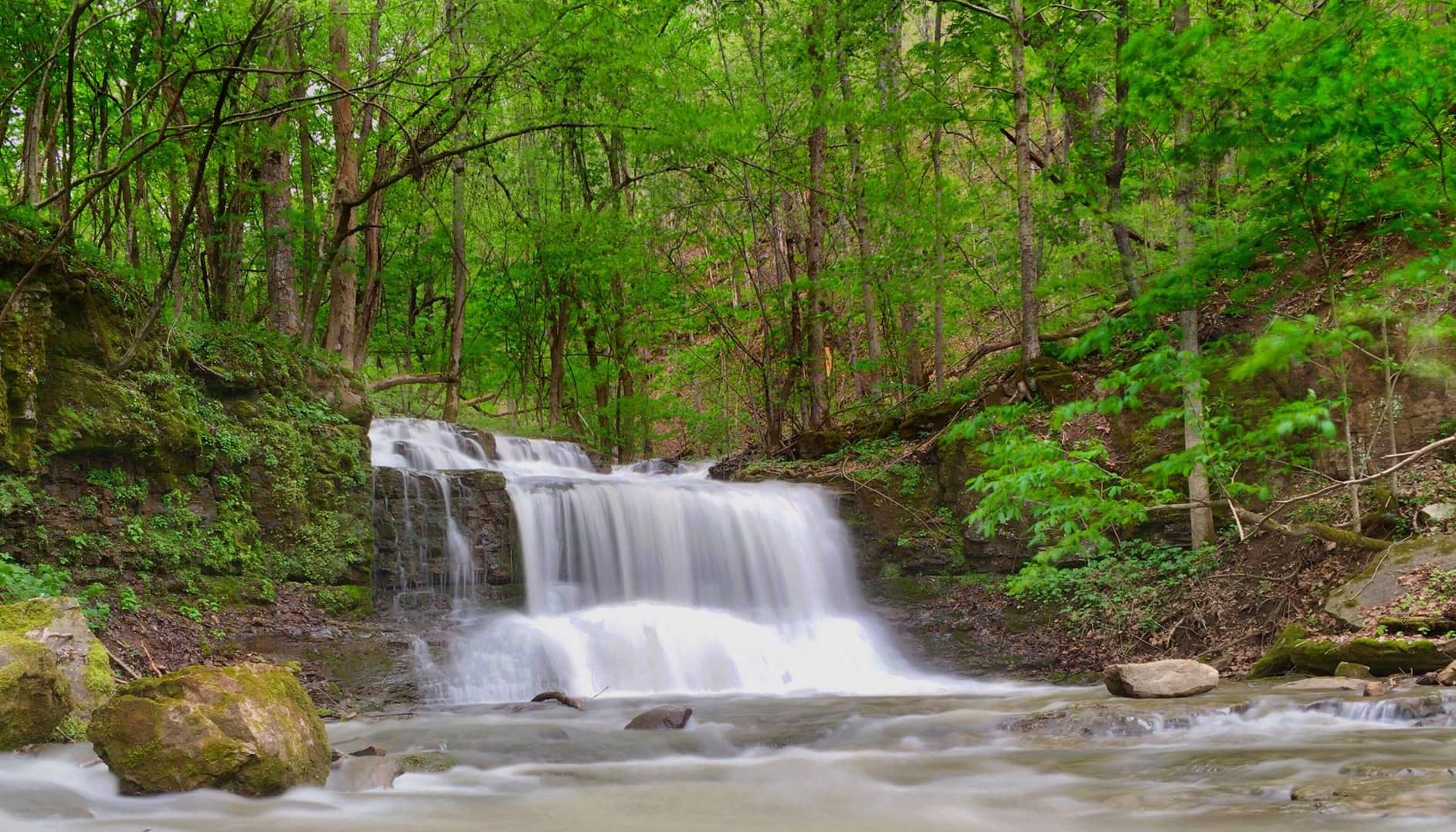 A waterfall with multiple tiers creating a large pool of water. There are many green trees, rocks and forest plants all around. 