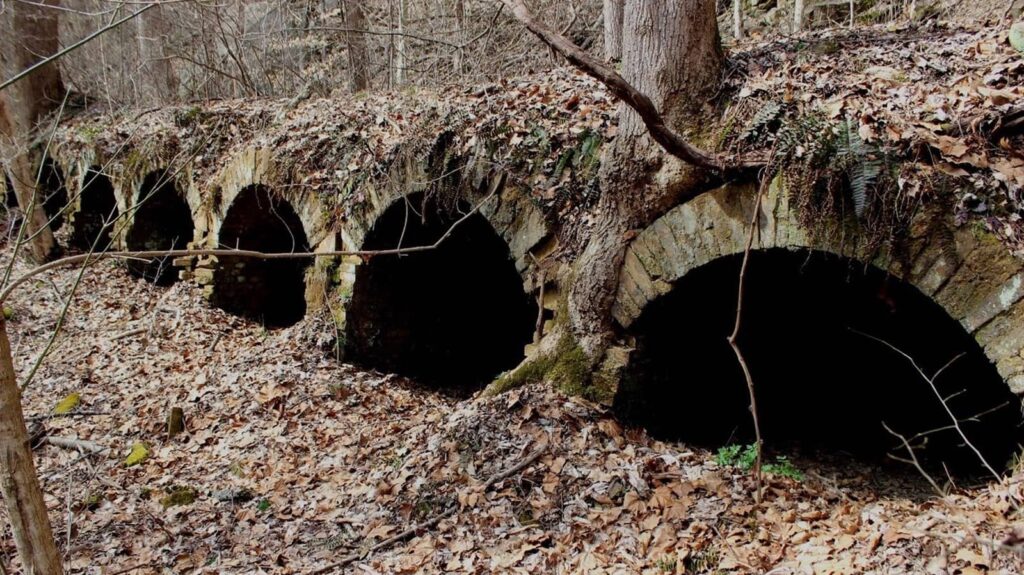 Six coke ovens in a row. The openings are arched and made of brick. The tops are grown over with trees and brush. 