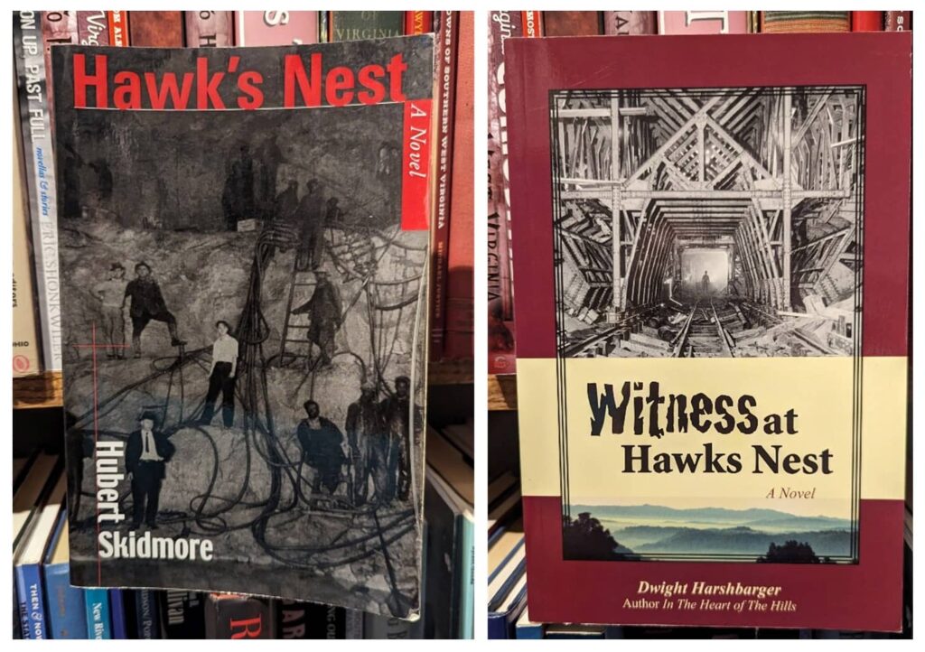 Two paperback books on a shelf: "Hawk's Nest" by Hubert Skidmore and "Witness at Hawks Nest: A Novel" by Dwight Harshbarger. Both have black and white photo of a tunnel under construction on the cover.
