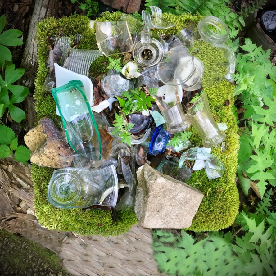 Old green and blue glass pieces and broken pottery resting on green moss in the forest where the Seldom Seen Community used to exist. 