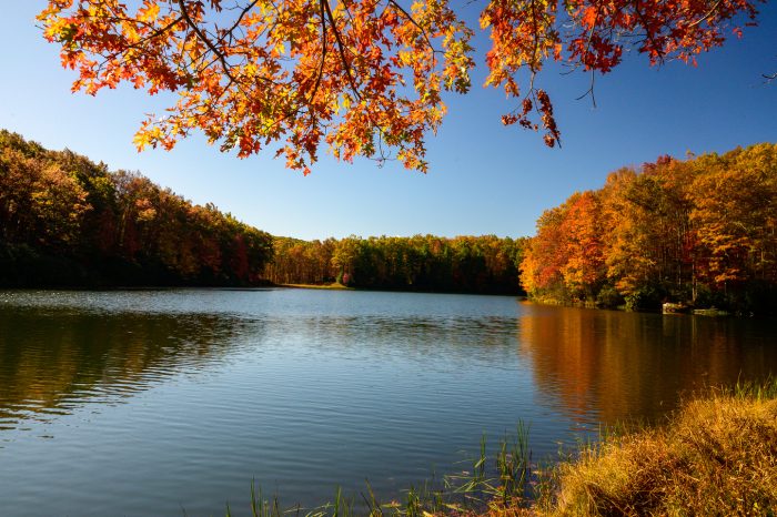 Boley Lake at Babcock State Park surrounded by color trees in full autumn colors of orange, yellow, brown and red. 