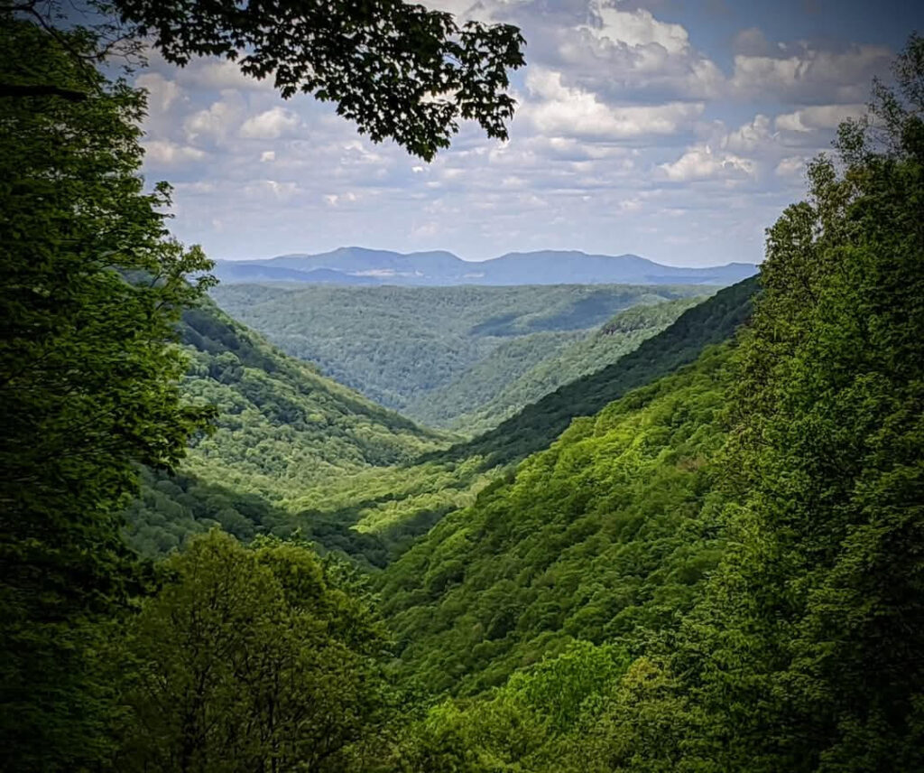 A long view of a verdant green Mann's Creek Gorge with blue mountains in the background and white clouds in the sky above Babcock State Park.